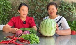 今日吃瓜热门大瓜每日更新51 今日吃瓜热门大瓜必看大瓜网红,网红风云，吃瓜群众必看51期精彩回顾