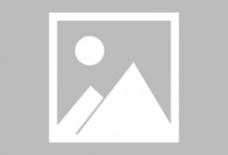 今日看料,揭秘最新资讯背后的故事