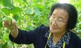 2025最新热点素材 吃瓜前线第一人,揭秘娱乐圈第一人生动瞬间