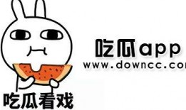 网红黑料网址 黑瓜,黑料网址背后的真相与争议