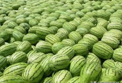 热门大瓜有哪些,揭秘明星幕后故事