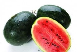 吃瓜网51官网版 正能量 黑料是什么,正能量与黑料背后的真相