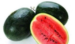 吃瓜网51官网版 正能量 黑料是什么,正能量与黑料背后的真相